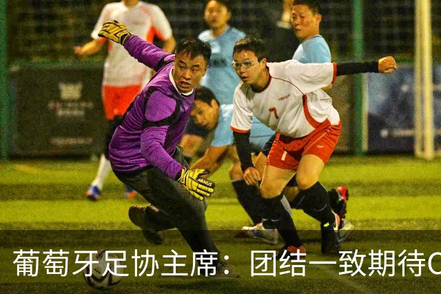 葡萄牙足协主席：团结一致期待C罗重返国家队